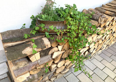 Bei uns gibt es genug "Holz vor der Hütte"! Genieße die rustikale Atmosphäre und das ländliche Flair unserer gemütlichen Lederhosn Alm.